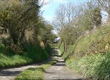 The Long Lane – Poppy Hunt / Wild Orchids, Windflowers – Theo Dorgan